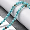 Natural Howlite Beads Strands G-C025-02C-06-2