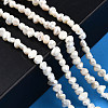 Natural Cultured Freshwater Pearl Beads Strands PEAR-N014-03B-6