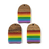 Pride Rainbow Theme Resin & Walnut Wood Pendants WOOD-K012-02-1