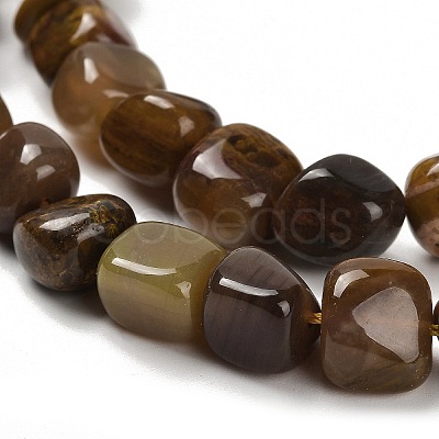 Natural Petrified Wood Beads Strands G-P497-01E-72-1