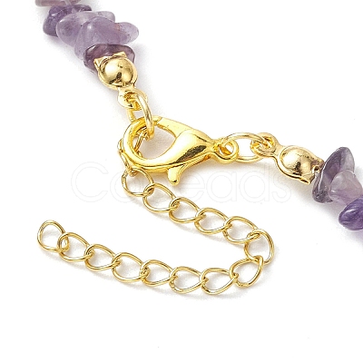 Natural Amethyst Anklets AJEW-AN00592-12-1