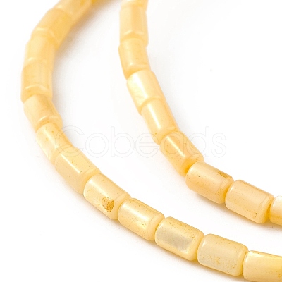 Natural Freshwater Shell Dyed Beads Strands SHEL-M018-12-1