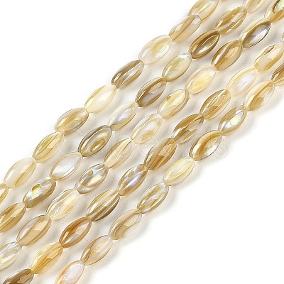 Natural Freshwater Shell Beads Strands BSHE-G036-03-1