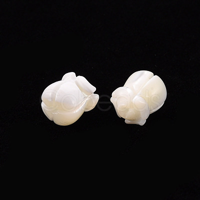 Natural Trochid Shell/Trochus Shell Beads SSHEL-T014-32-1