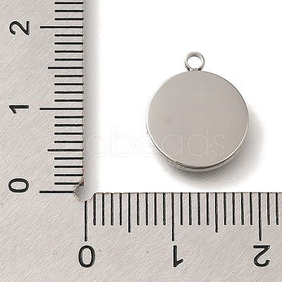 304 Stainless Steel Charms STAS-S148-20P-1