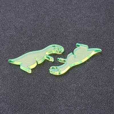 Transparent Acrylic Pendants TACR-M002-02B-1