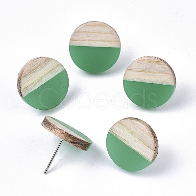 Transparent Resin & Wood Stud Earrings EJEW-N017-003A-D02-1