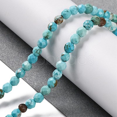 Natural Howlite Beads Strands G-C025-02C-06-1