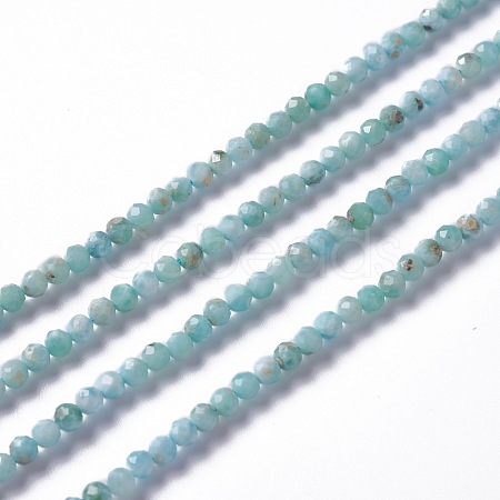 Natural Larimar Beads Strands X-G-A178-B01-3mm-1