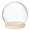 Round Glass Dome Cover, Decorative Display Case, Cloche Bell Jar Terrarium with Wood Base, Clear, 155x145mm