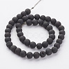 Electroplated Natural Agate Bead Strands G-P222-09-2