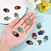 20pcs 5 Colors Resin & Walnut Wood Pendants RESI-CJ0001-197-4