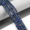 Natural Lapis Lazuli Beads Strands G-C084-D12-02-2