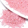 11/0 Grade A Baking Paint Glass Seed Beads X-SEED-S030-1143-1