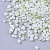 Baking Paint Glass Seed Beads SEED-S016-02A-01-3