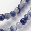 Natural Sodalite Beads Strands GSR4mmC013-2