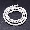 Natural Gemstone Round Bead Strands G-J303-06-10mm-2