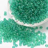 6/0 Glass Seed Beads X-SEED-J013-F6-18-1