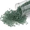 TOHO Round Seed Beads SEED-JPTR11-1070-1