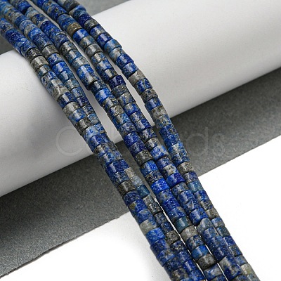 Natural Lapis Lazuli Beads Strands G-C084-D12-02-1