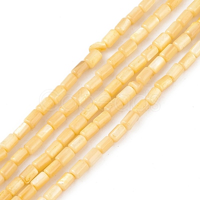 Natural Freshwater Shell Dyed Beads Strands SHEL-M018-12-1