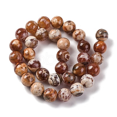 Natural Fire Crackle Agate Beads Strands G-G163-A01-04-1