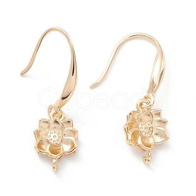 Rack Plating Brass Earring Hooks KK-D069-13G-01-RS-1