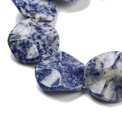 Natural Blue Spot Jasper Beads Strands G-Z061-B07-02-1