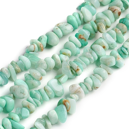 Natural Chrysoprase Chips Beads Strands G-D0002-A11-1