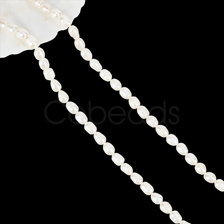  1 Strand Natural Cultured Freshwater Pearl Beads Strands PEAR-NB0002-20-1
