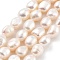 Natural Cultured Freshwater Pearl Beads Strands, Two Sides Polished, Grade 6A, White, 6~7mm, Hole: 0.6mm, about 23pcs/strand, 6.69''(17cm)