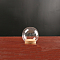 High Borosilicate Glass Dome Cover, Decorative Display Case, Cloche Bell Jar Terrarium with Cork Base, Clear, 100mm