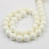 Natural White Shell Beads Strands X-BSHE-E002-02-10mm-3