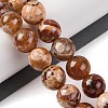 Natural Fire Crackle Agate Beads Strands G-G163-A01-04-2