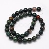 Natural Bloodstone Beads Strands G-N0166-04-10mm-2