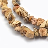 Natural Picture Jasper Beads Strands G-P332-19-2