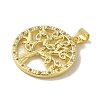 Brass Micro Pave Cubic Zirconia Pendants KK-Z042-25G-03-2