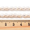 Natural Cultured Freshwater Pearl Beads Strands PEAR-P062-16B-5