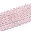 Natural Rose Quartz Beads G-H266-23-1