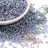 Glass Seed Beads X-SEED-S042-04B-22-1