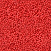 11/0 Grade A Baking Paint Glass Seed Beads X-SEED-N001-A-1069-2