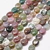 Natural Indian Agate Beads Strands G-N0173-02-8x10mm-1