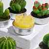 Cactus Paraffin Smokeless Candles DIY-G024-D-4
