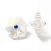Transparent Glass Beads GLAA-F121-14E-2
