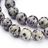 Natural Dalmatian Jasper Beads Strands X-GSR10mmC004-2