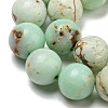 Natural Green Opal Beads Strands G-R494-A08-04-3