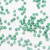 8/0 Glass Seed Beads X-SEED-J012-F8-117-3