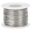 304 Stainless Steel Wire TWIR-WH0002-05-0.5mm-1