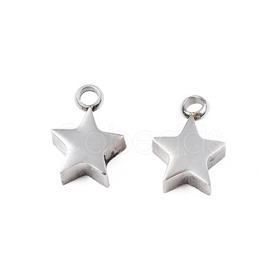 Non-Tarnish 304 Stainless Steel Charms STAS-N095-138-1