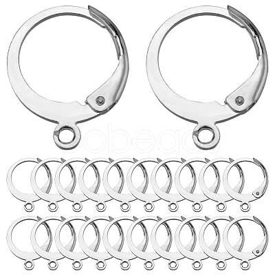 SUNNYCLUE 80Pcs 304 Stainless Steel Leverback Earring Findings STAS-SC0006-42-1